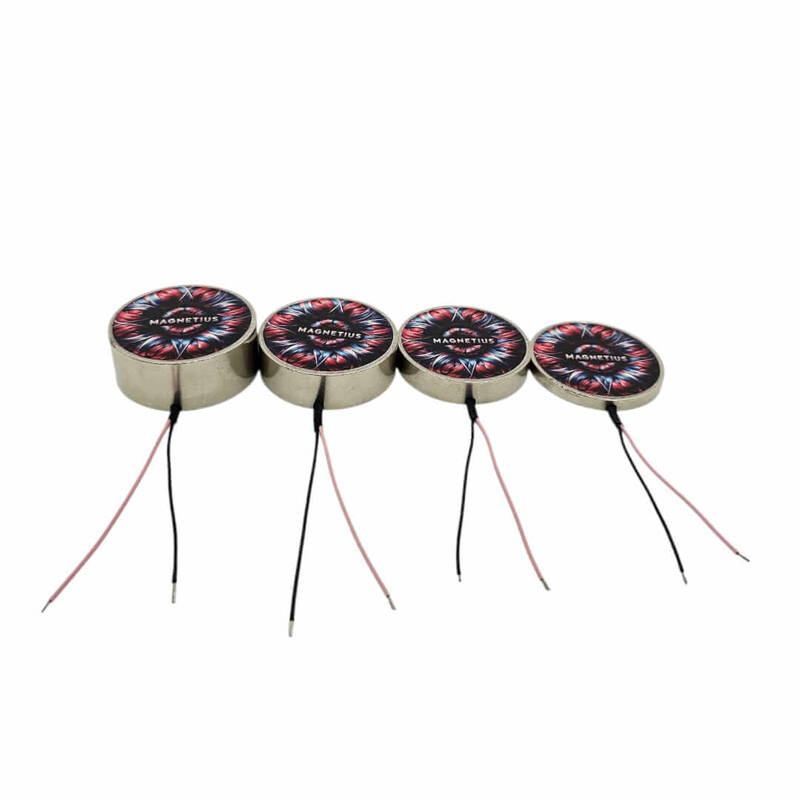 Elektromıknatıs 5V 10 kg 
