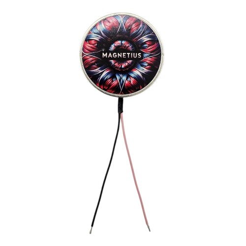  MAGNETIUS - Magnetius 12V 2,5 kg Elektro Mıknatıs
