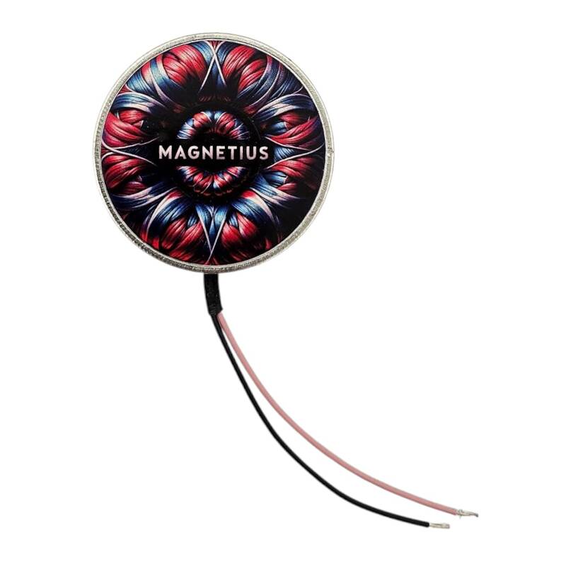 Magnetius 5V 8 kg Elektro Mıknatıs
