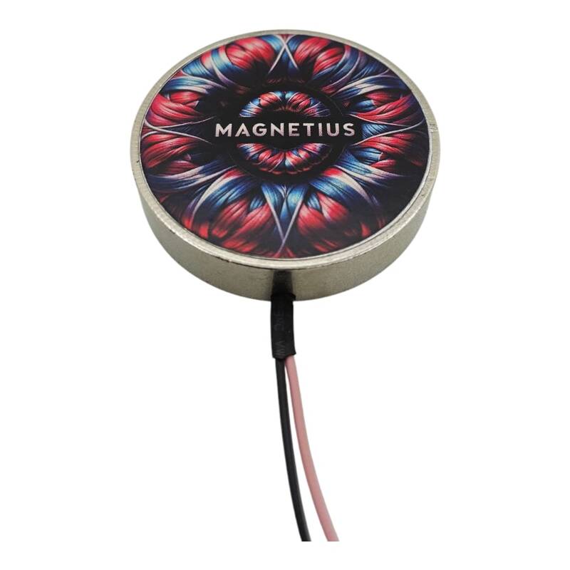 Magnetius 5V 8 kg Elektro Mıknatıs